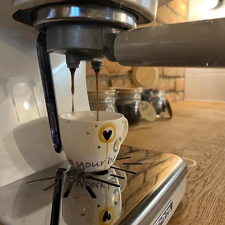 Bydlit Cz Apartament Brno